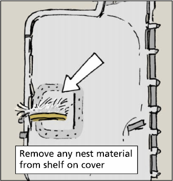 ​Remove nest material from the cover